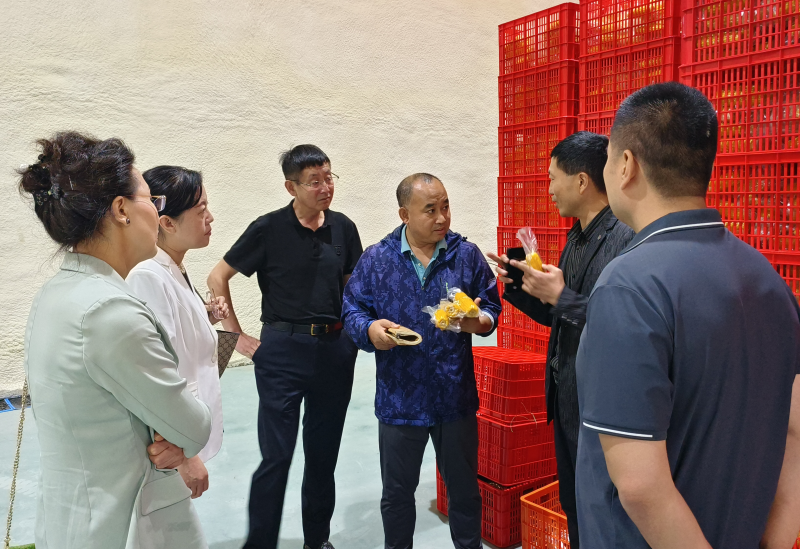 省綠色食品發(fā)展中心張曉紅主任、一級調(diào)研員郝志紅對利如金農(nóng)業(yè)集團遠海分公司擬申報的綠色食品產(chǎn)品給予現(xiàn)場檢查和指導