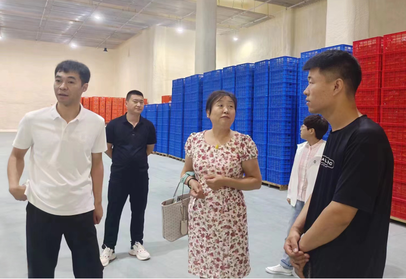 【喜報(bào)】時(shí)光良田鮮食玉米順利通過綠色食品年度檢查
